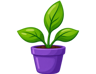 plant in a pot